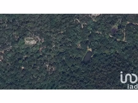 terrain à collobrieres (83610)
