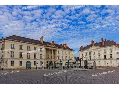 vente bureaux 265 m²