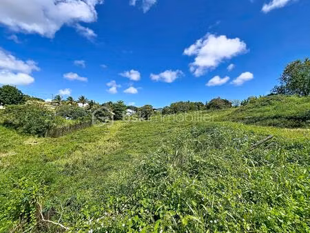 terrain de 1 103 m² à sainte-anne