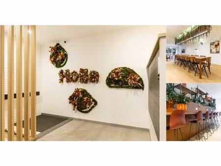 appartement en colocation à 29 rue des palmiers  29 woluwe-saint-pierre (vbd98704)