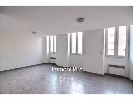 immobiliere pujol