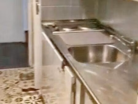 appartement à louer - logement étudiant