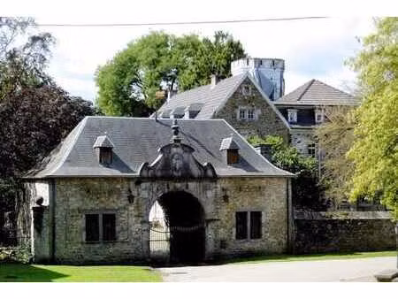 château historique à fort potentiel