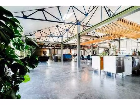 magnique loft avec possbilité de profession libérale !