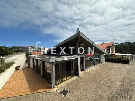 nexton immobilier