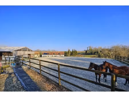 vente maison 11 pièces 195 m² à longfossé (62240)  598 000 €
