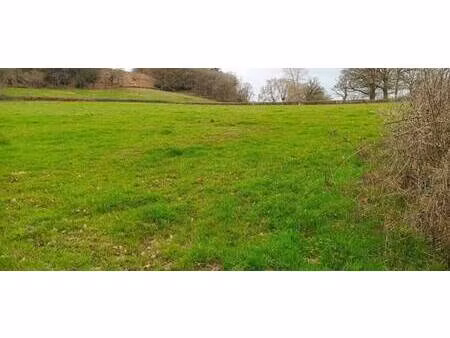 terrain à vendre