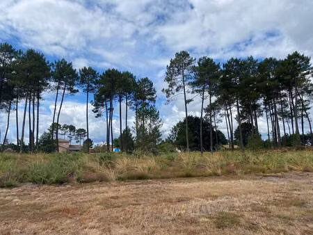 terrain à vendre