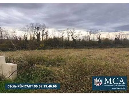 terrain constructible viabilisé à vendre
