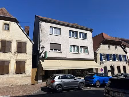 vente immeuble 170 m² sarralbe (57430)