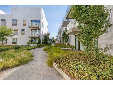 nieuwbouw assistentieflat met 1 slaapkamer en leuk terras