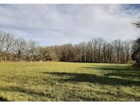 terrain constructible viabilisé à vendre