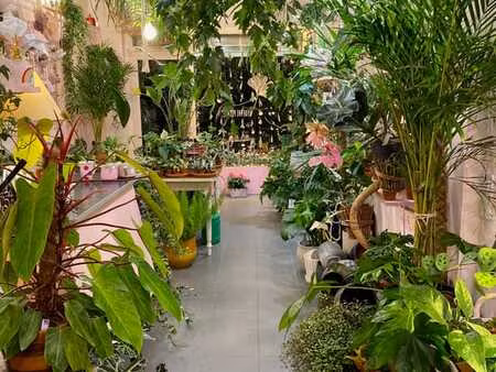 local commercial à louer liège centre