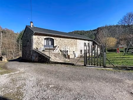 propriété rurale sur plus de 4 ha yssingeaux