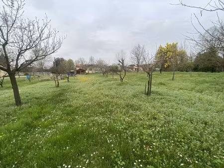 gaillac terrain constructible 1 599 m²