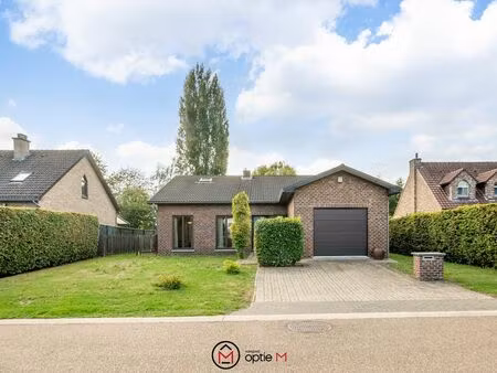 maison à louer à hasselt € 1.350 (lm3wy) - optie m | zimmo