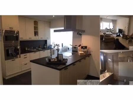 rez-de-chaussée à louer à doornboomstraat 30 mol (rbv47806)