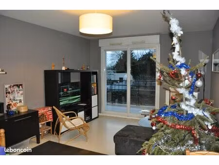 t3 saint paul  au calme  clair  bien exposé