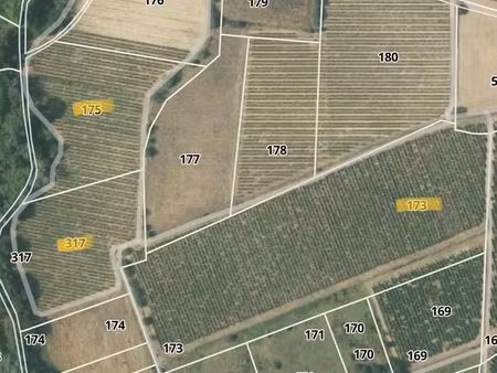 vignes taillées 2 53ha chardonnay  1 79ha cabernet