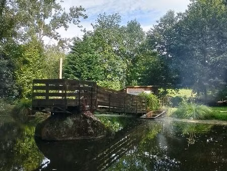 terrain boisé avec étang
