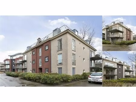 appartement à louer à schransstraat 35 grobbendonk (rbv47821)