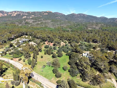 vente terrain 6681 m² puget-sur-argens (83480)
