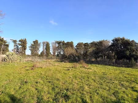 vente terrain 959 m² ollioules (83190)