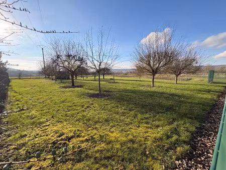 vente terrain 3140 m² à dormans (51700)  29 500 €