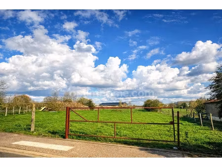 vente terrain 1787 m² à coupelle-neuve (62310)  50 000 €