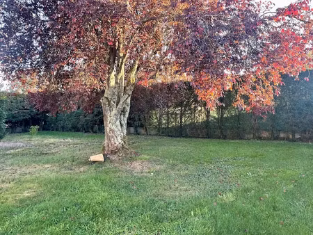 vente terrain 500 m² à prignac-et-marcamps (33710)  75 000 €