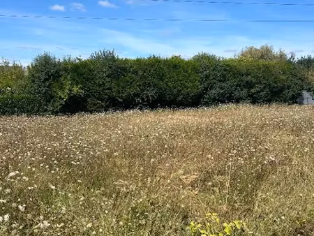 vente terrain 1000 m² à saint-etienne-de-chigny (37230)  80 000 €