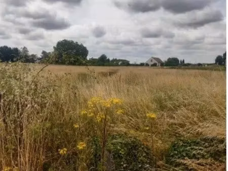 vente terrain à huisseau-sur-mauves (45130)  64 000 €