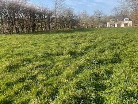 vente terrain à grand-champ (56390) : à vendre / 1323m² grand-champ