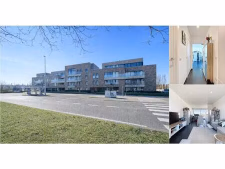 appartement à louer à grotesteenweg-noord 99 gand (rbv47864)