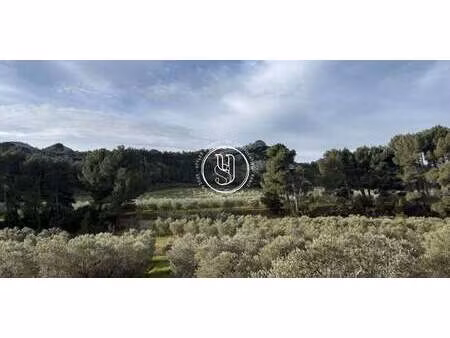 maison maussane-les-alpilles (13)