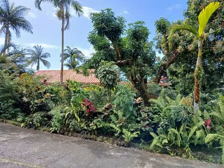 a sainte-rose  deux maisons de type t4  meublées  d’une surface habitable de 293 m2  sur 9