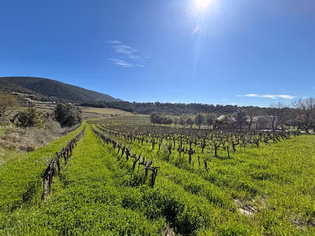 proche de grignan - terrain a bâtir de 3500m2.