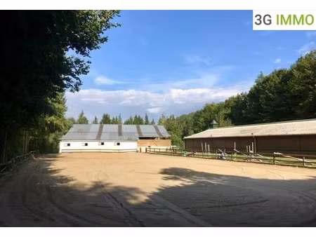 propriété équestre 5 pièces