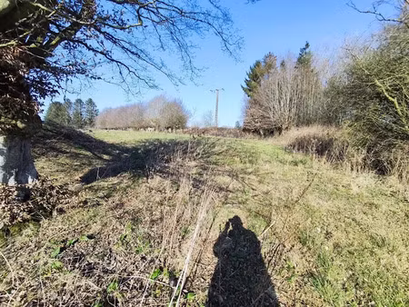 vente terrain 12000 m² à hargnies (59138)  210 000 €