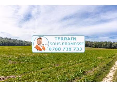 terrain de 9 702 m² à nanteau-sur-lunain