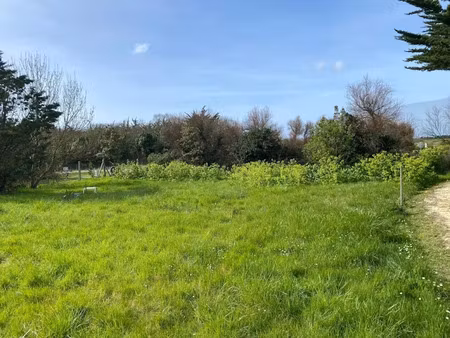 vente terrain à batir 1020 m² à saint-pierre-d'oléron (17310)  132 500 €