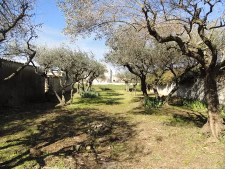 vente terrain à batir 300 m² à saint-gilles (30800)  99 000 €