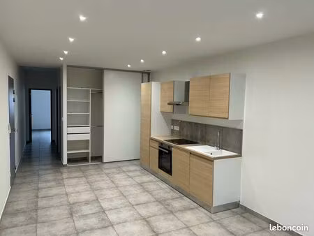 loue grand t2 rénové en centre-ville