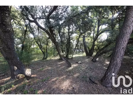 vente terrain 1000 m² à pernes-les-fontaines (84210)  230 000 €