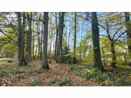 vente terrain 924 m² à neauphle-le-château (78640)  289 000 €