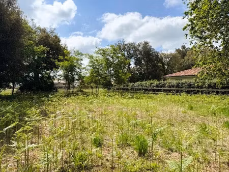 vente terrain 800 m² à moliets-et-maa (40660)  262 500 €