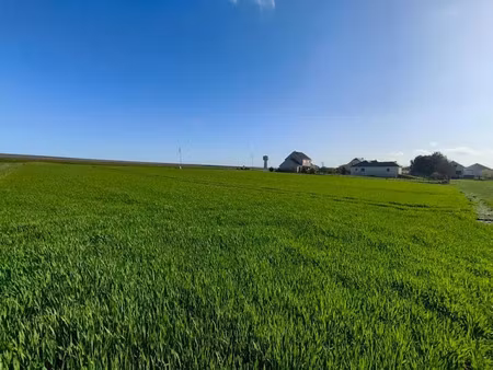 vente terrain à vaudemange (51380)  421 052 €