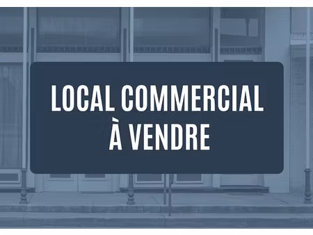 vente locaux professionnels 160 m² à sarlat-la-caneda (24200)  318 000 €