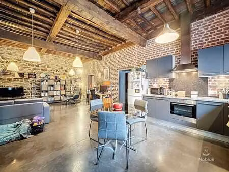 spa (centre): magnifique appartement 1 ch + parkings