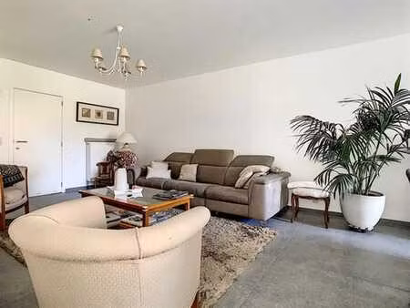 maison à louer à néchin